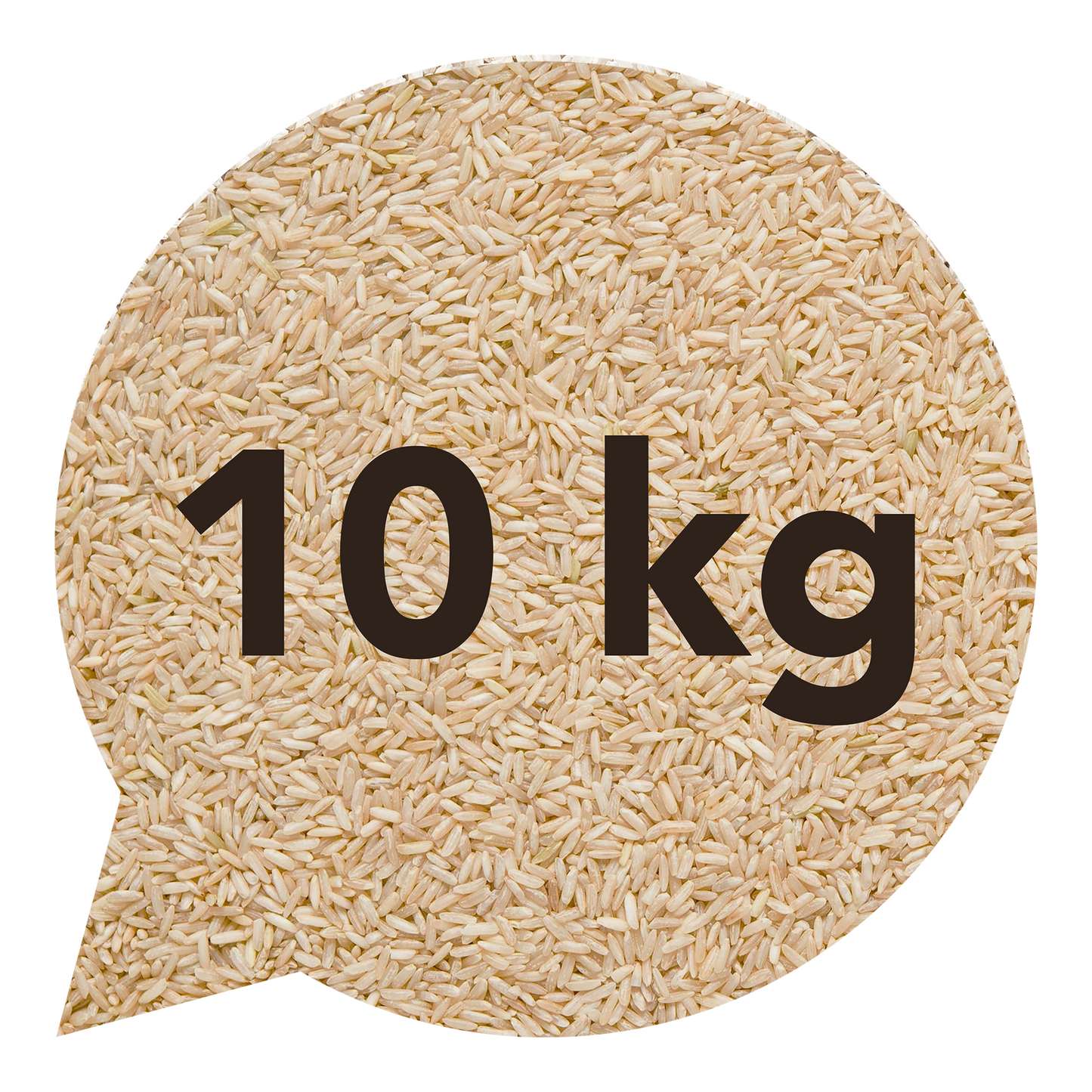 111128 Rýže dlouhozrnná indica natural 10 kg BIO BIO NEBIO-1
