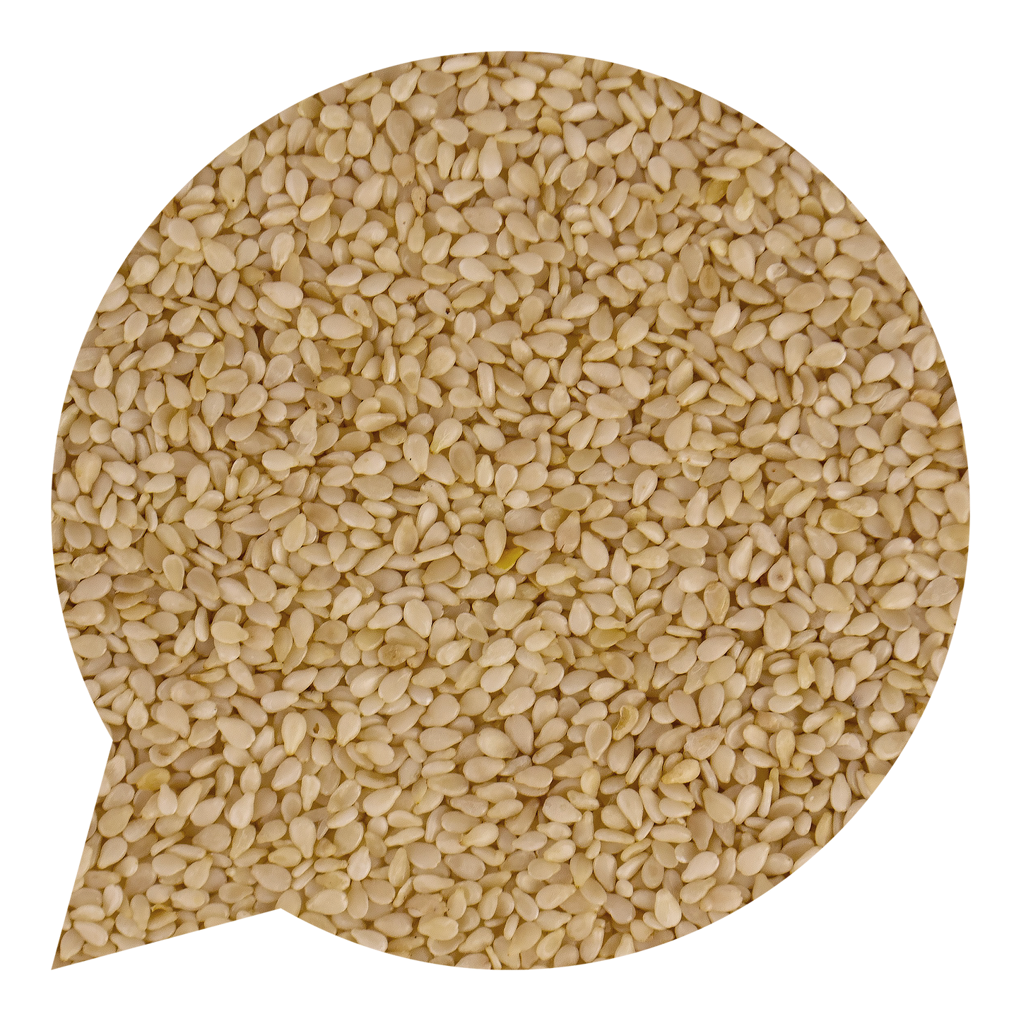 130005 Sezam loupaný BIO-1