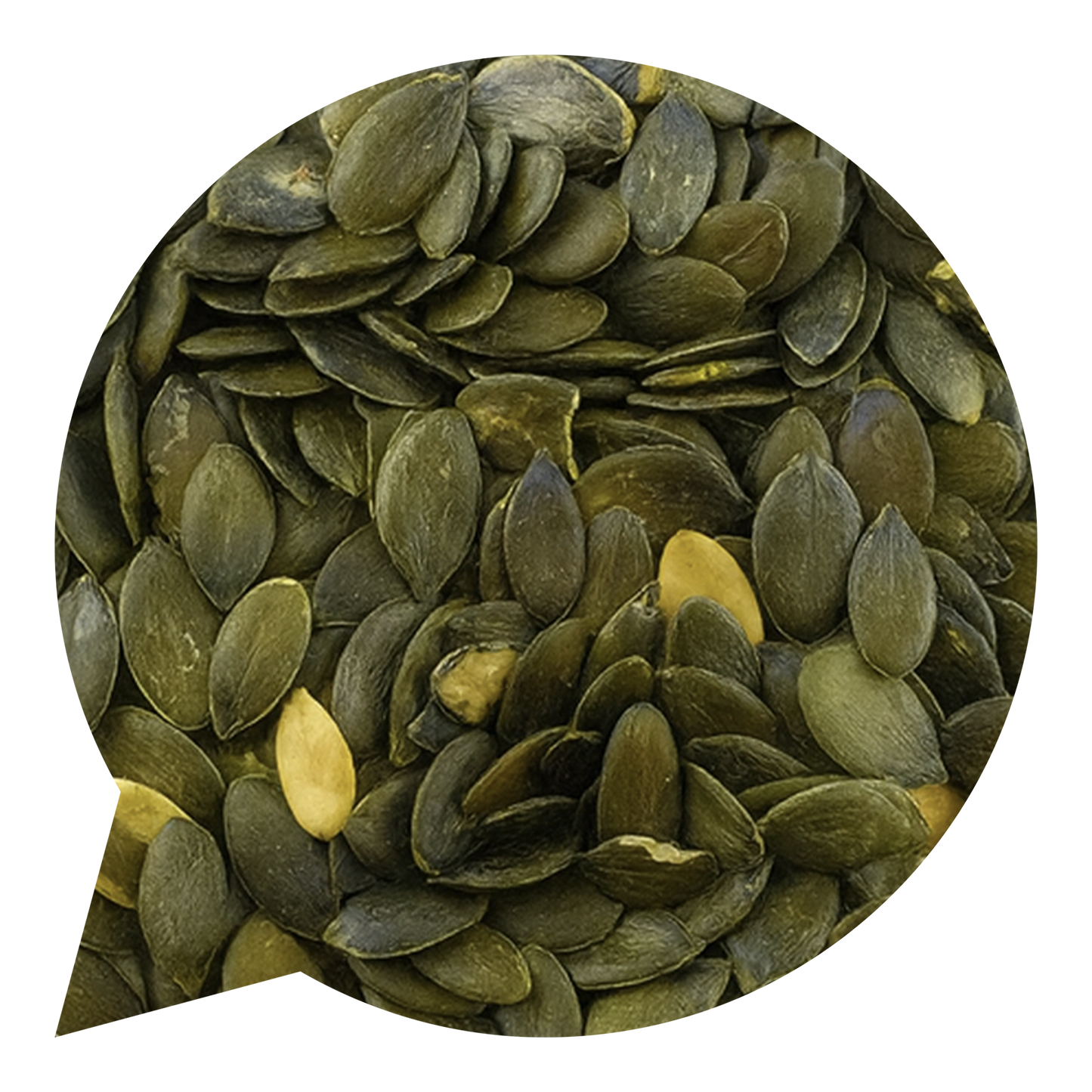 132002 Dýňová semínka Česká-1