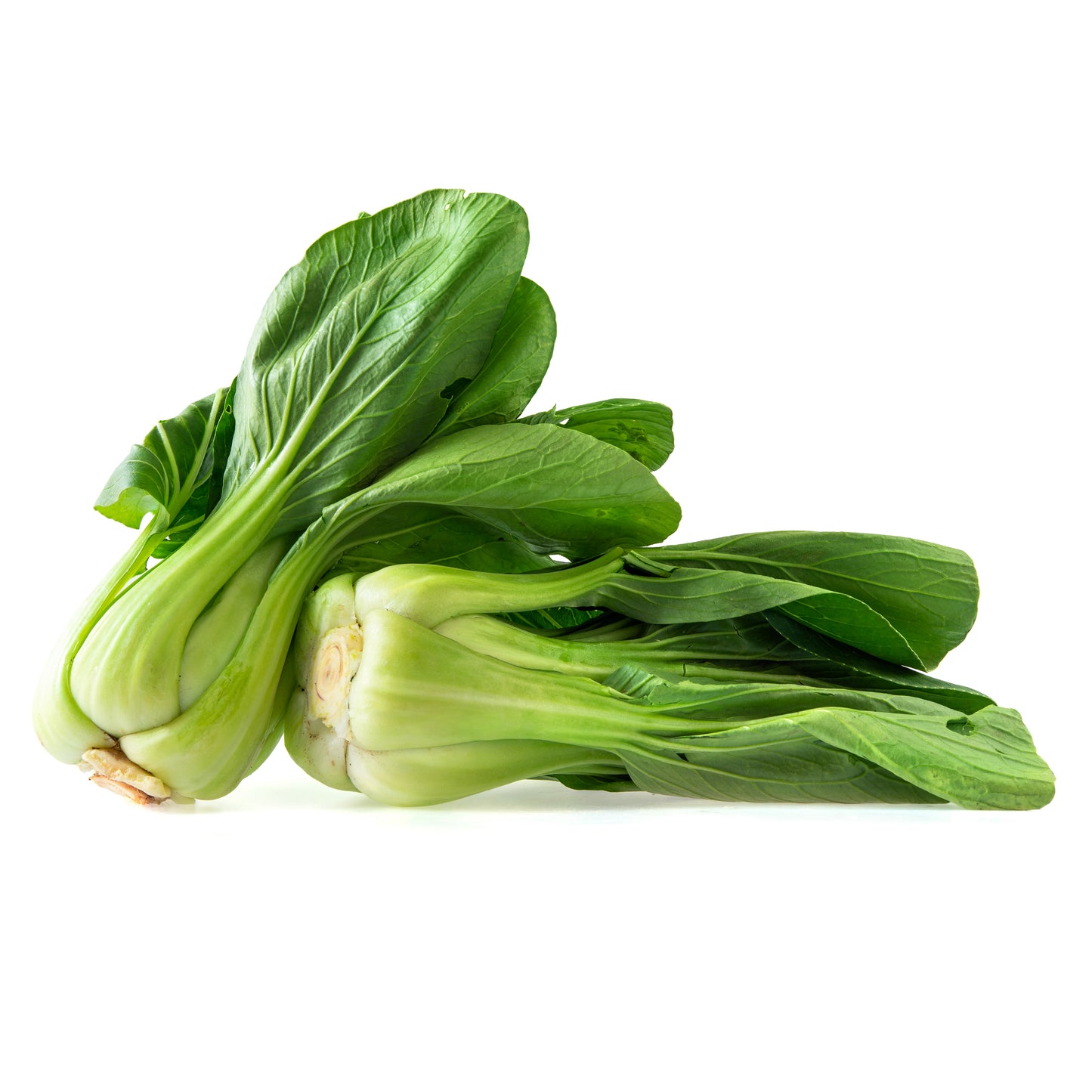 165535 Zelí čínské „Pak choi" BIO (ks)-1