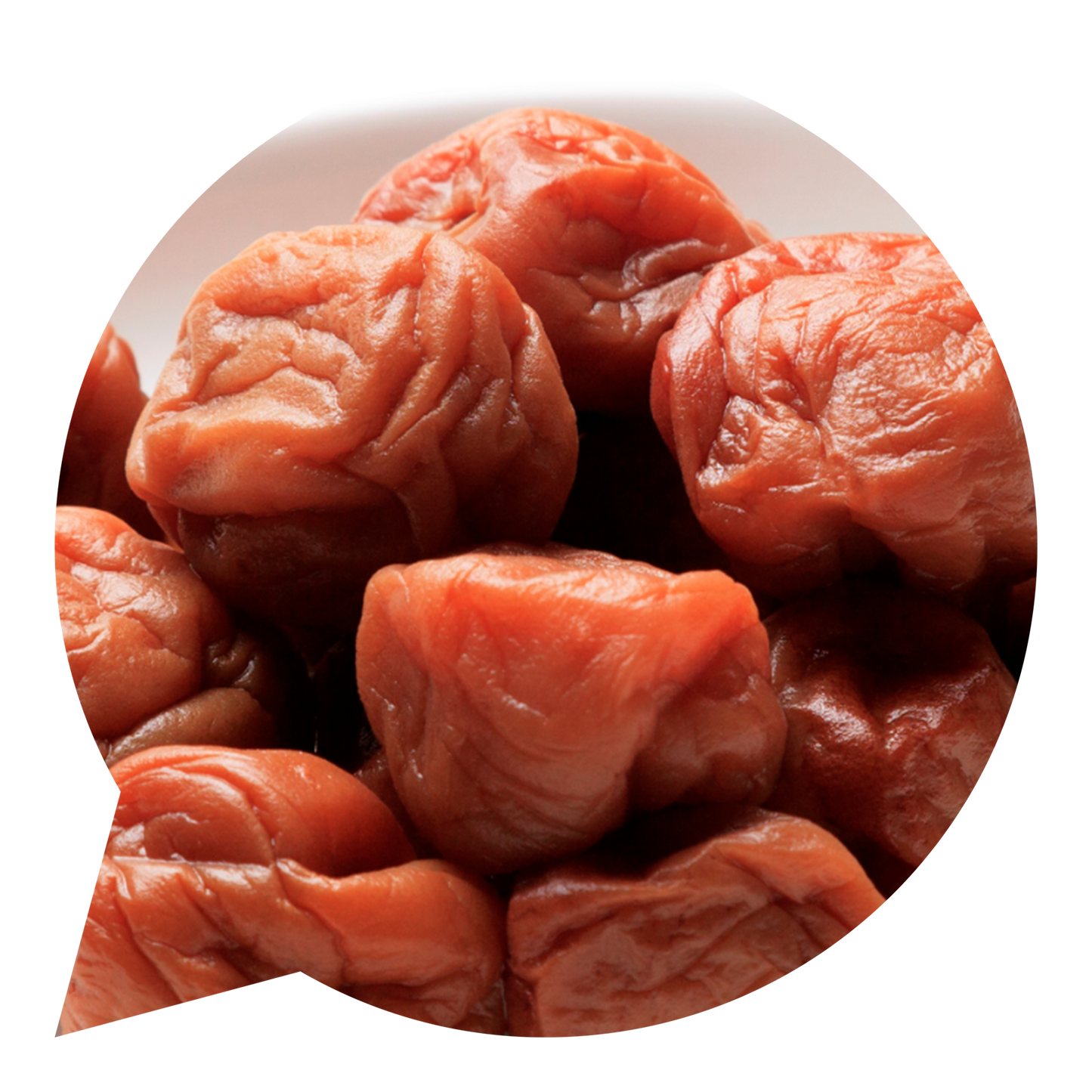 473004 Umeboshi MUSO-1