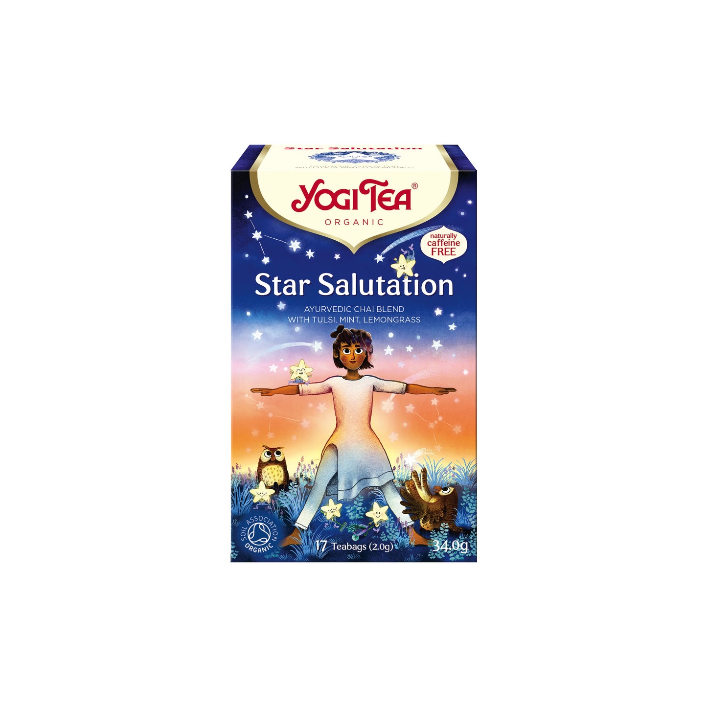 510554 Čaj Pozdrav hvězdám 17 sáčků 32,3 g BIO YOGI TEA-1