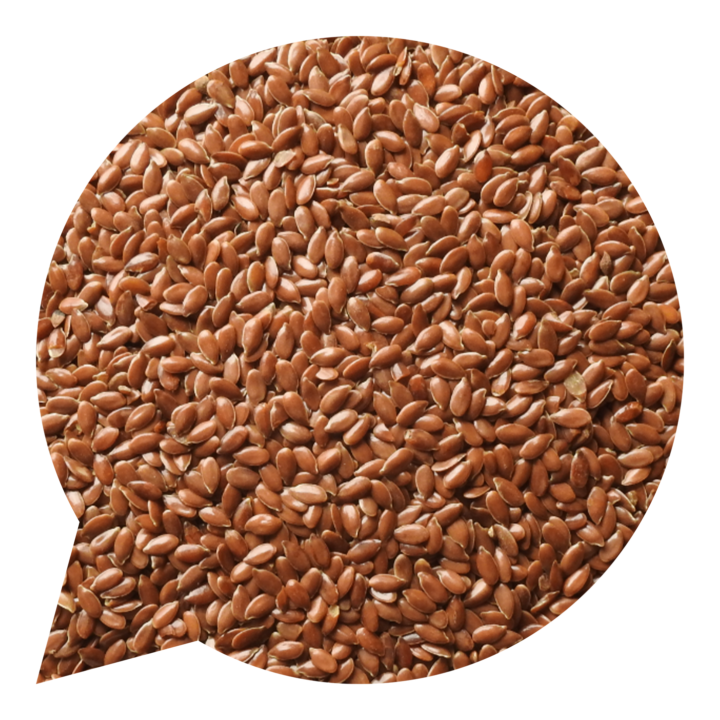 820016 Semínka lněná BIO-1