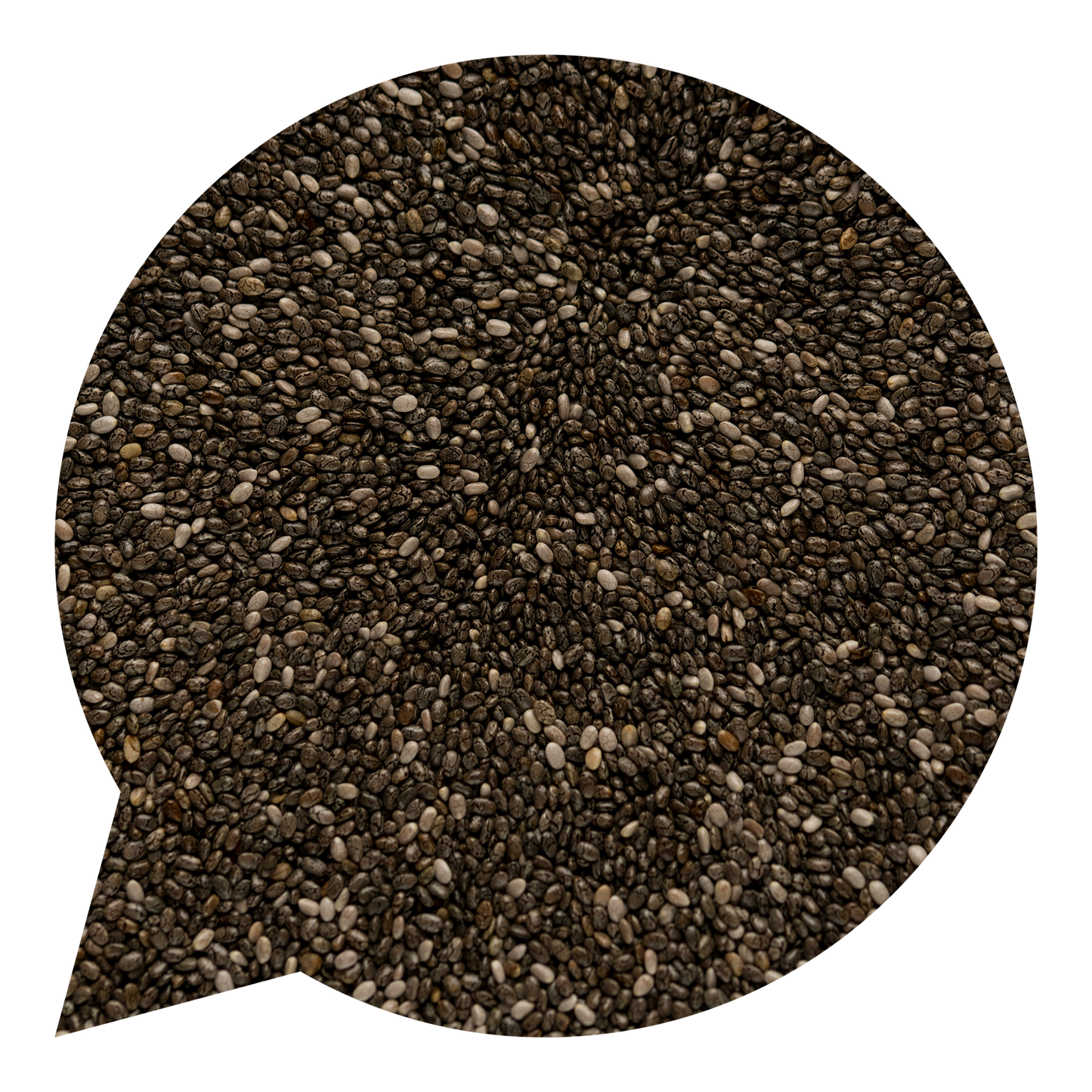 820021 Semínka chia BIO-1