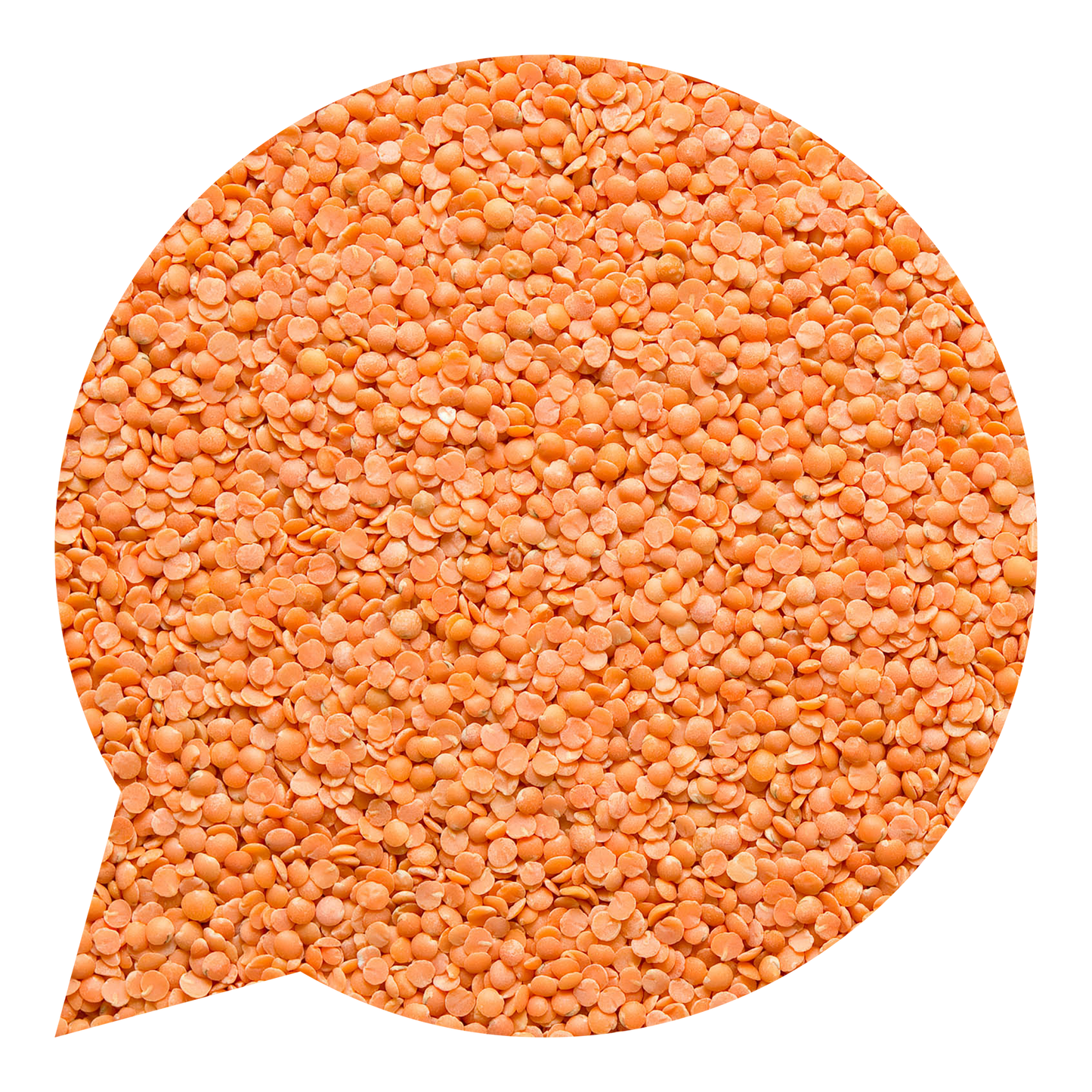 820024 Čočka červená půlená BIO-1
