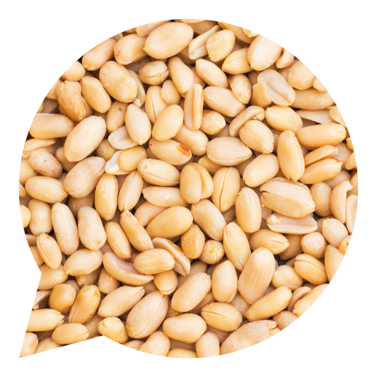 820045 Arašídy loupané nepražené BIO -1