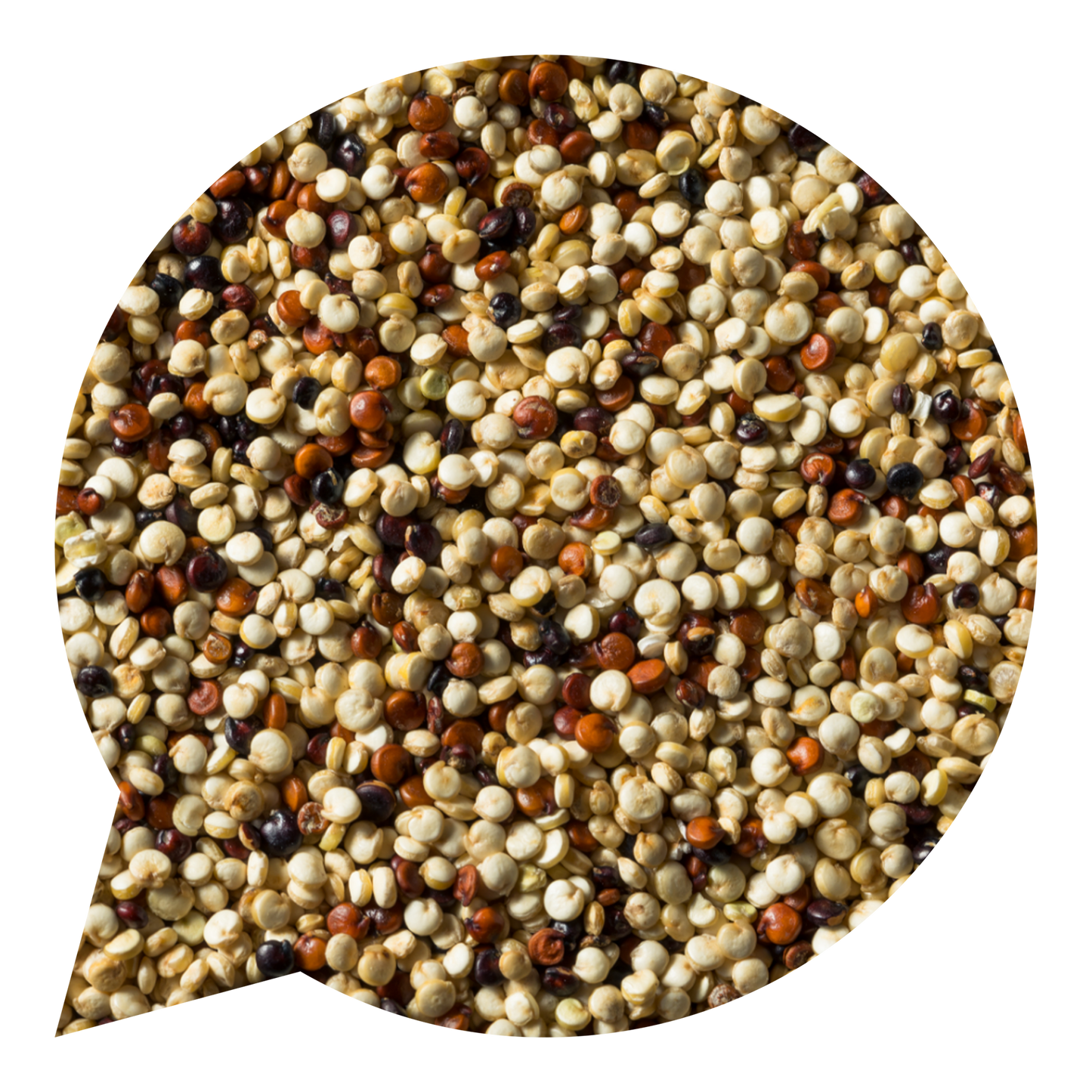 820071 Quinoa barevná BIO-1