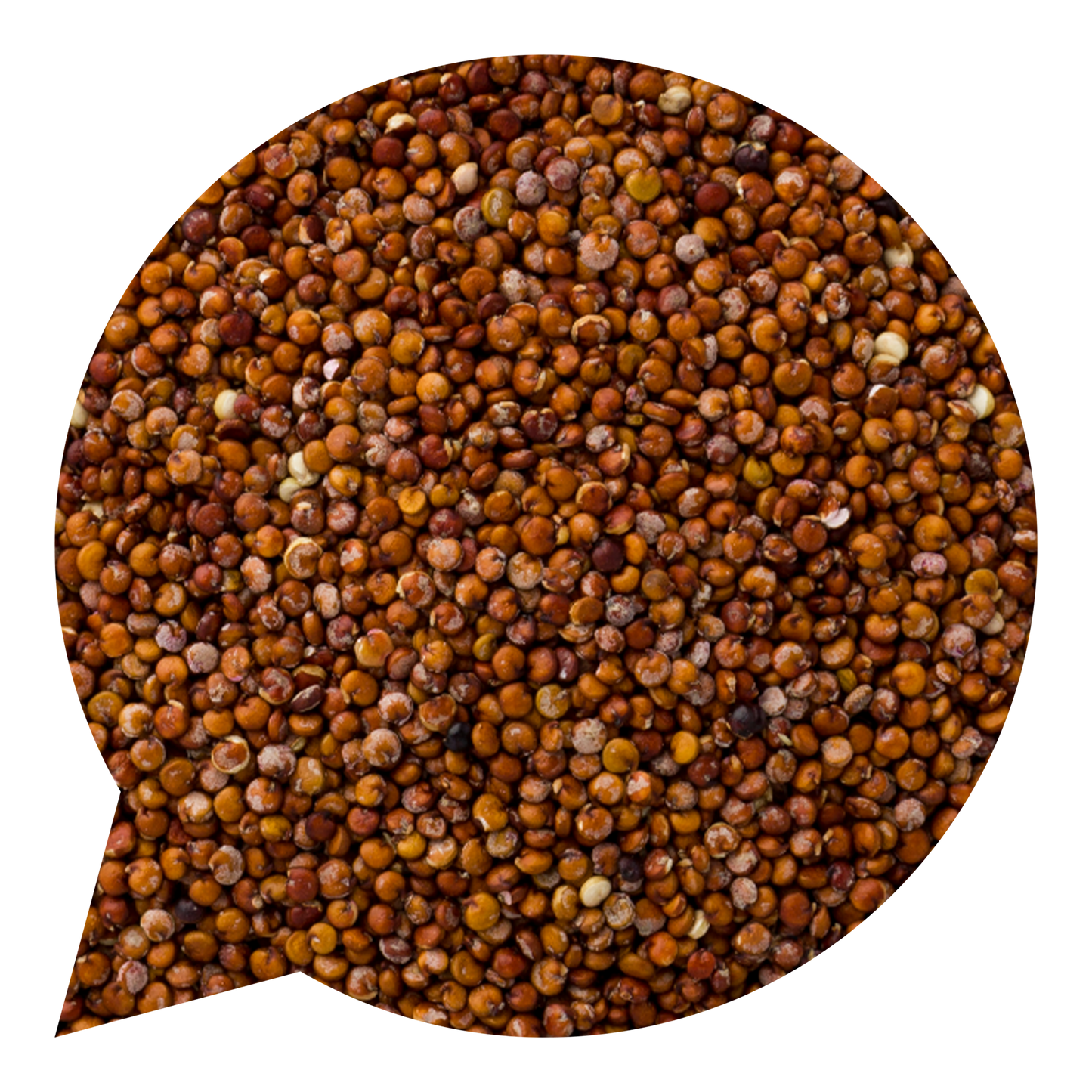 820163 Quinoa červená BIO-1