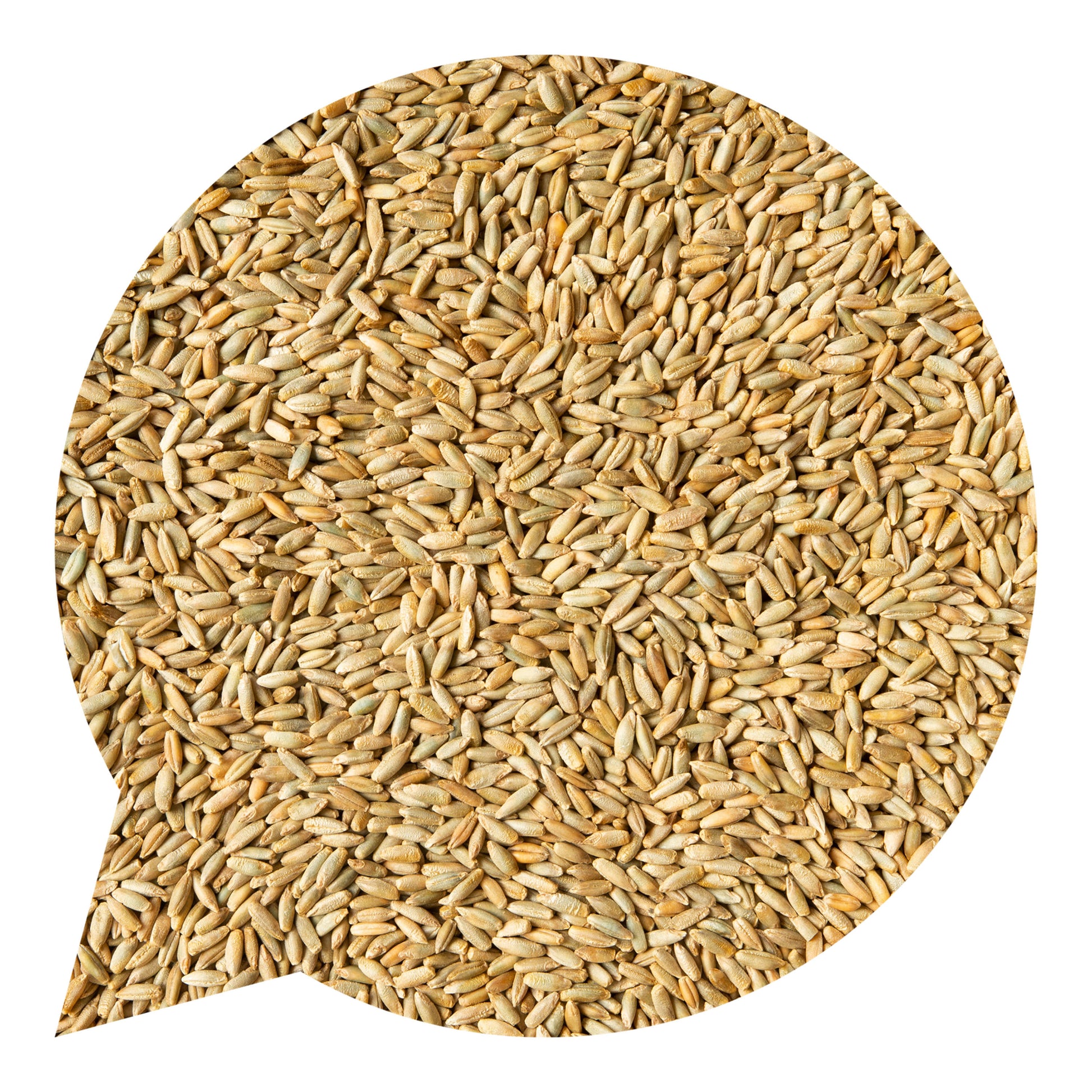 110027 Žito ozimé BIO-2