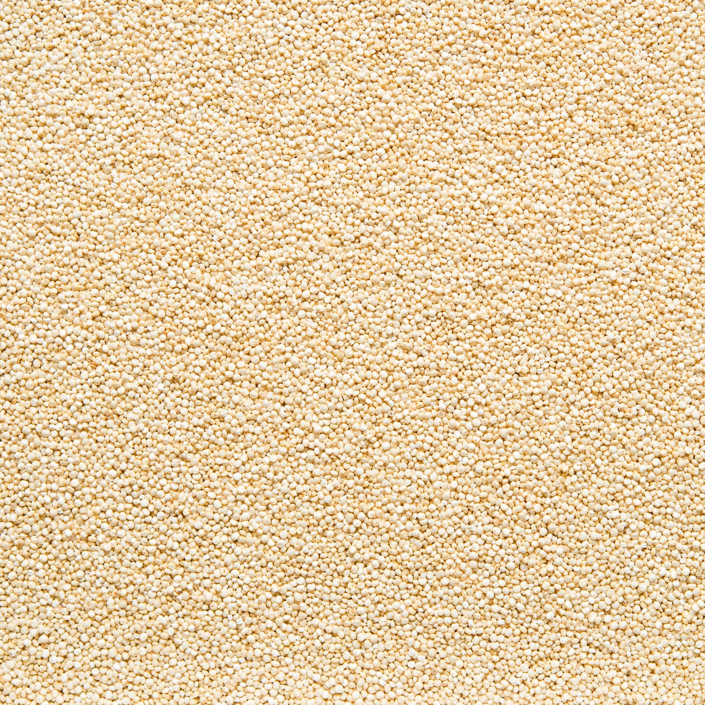 111058 Quinoa 5 kg BIO   COUNTRY LIFE -3