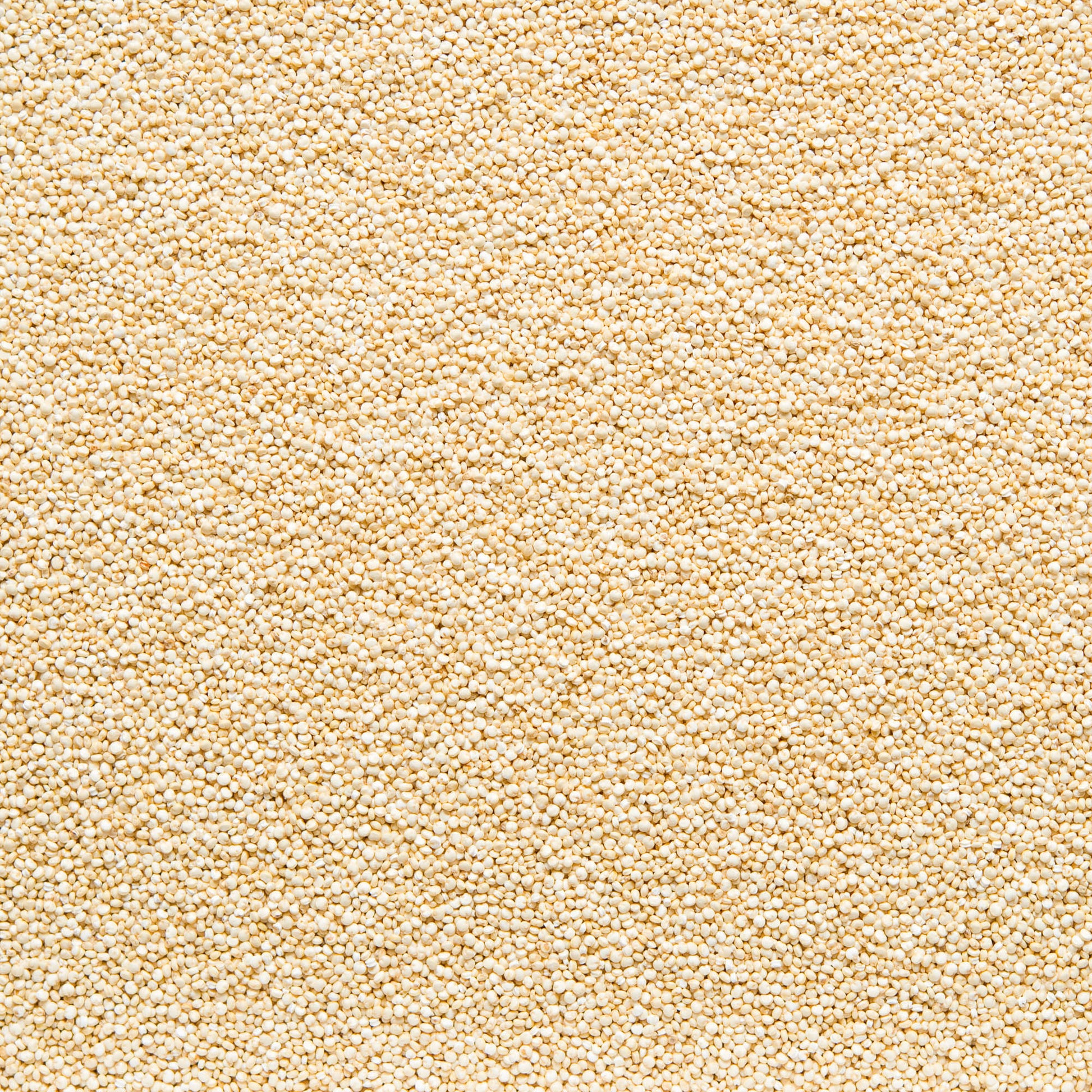 111058 Quinoa 5 kg BIO   COUNTRY LIFE -3