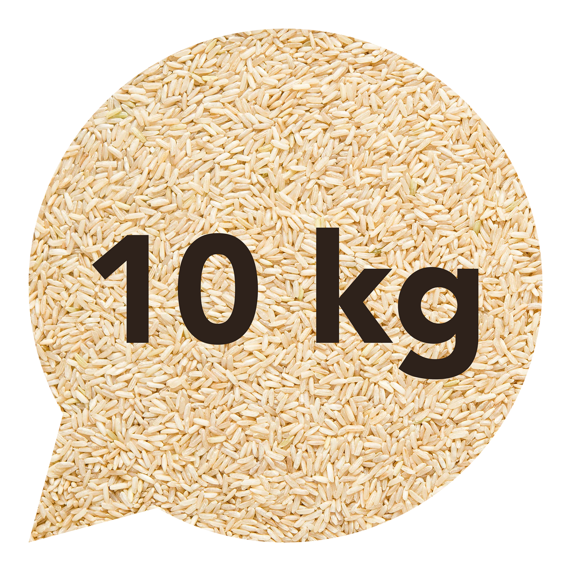 111126 Rýže basmati natural 10 kg BIO   BIO NEBIO-1