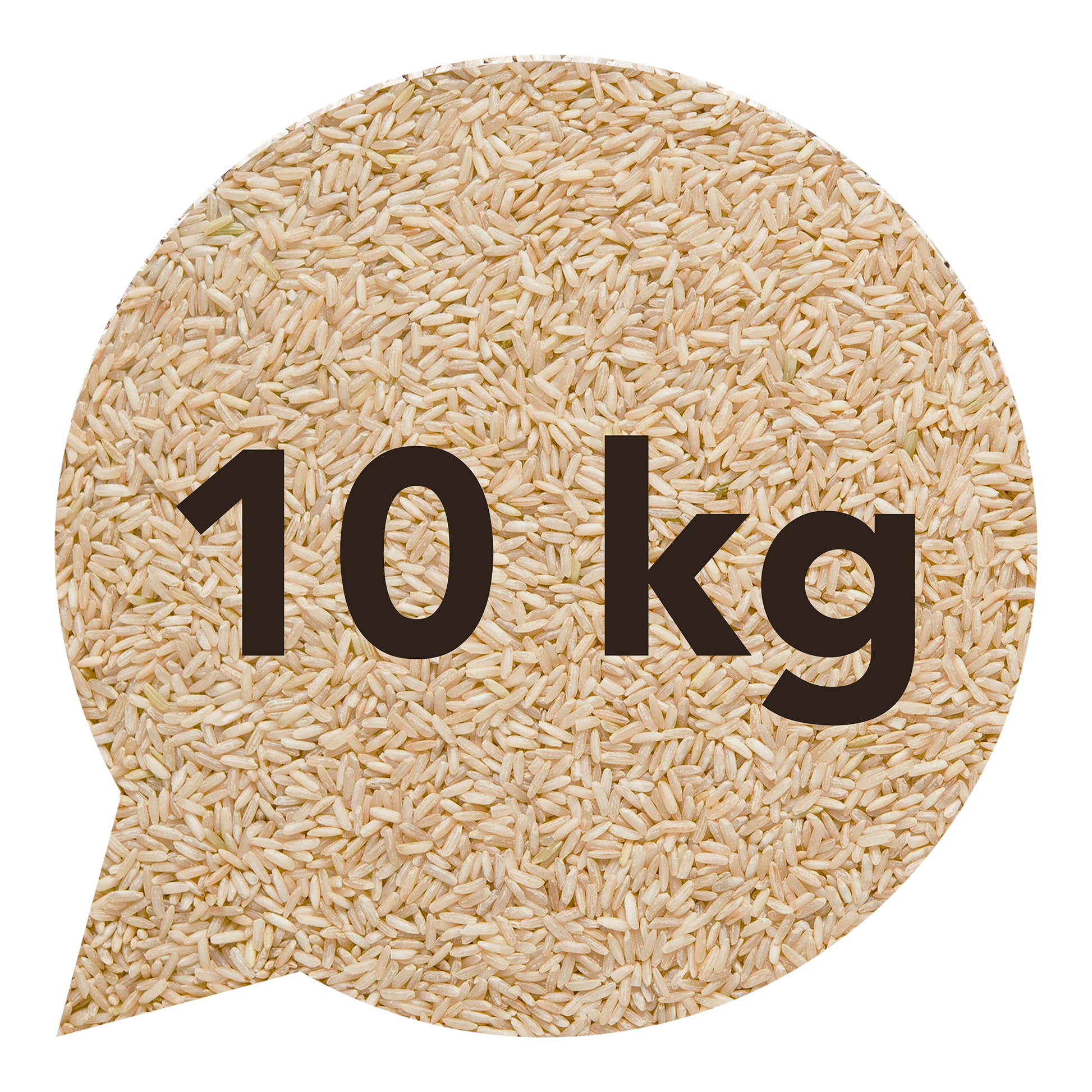111128 Rýže dlouhozrnná indica natural 10 kg BIO   BIO NEBIO-1