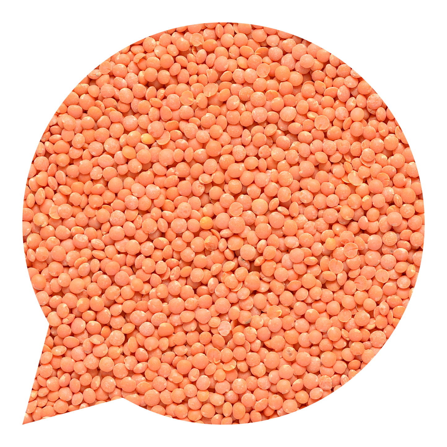 120047 Čočka červená celá loupaná BIO-1