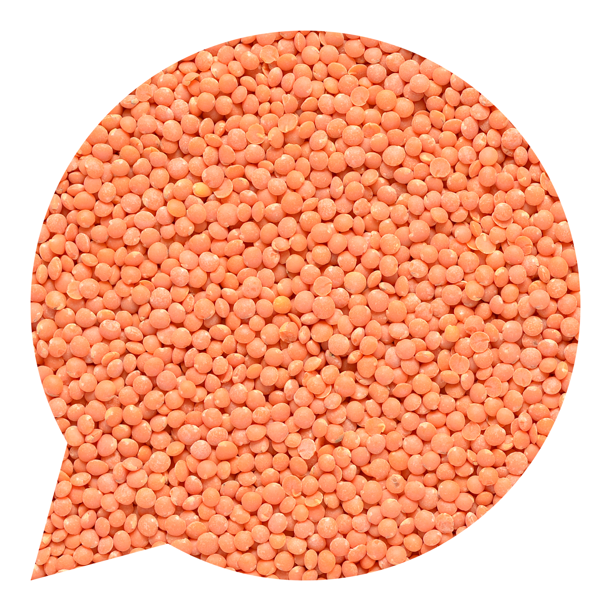 120047 Čočka červená celá loupaná BIO-1