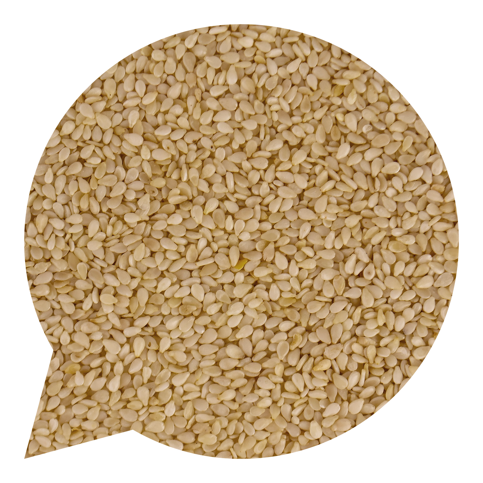130005 Sezam loupaný BIO-1