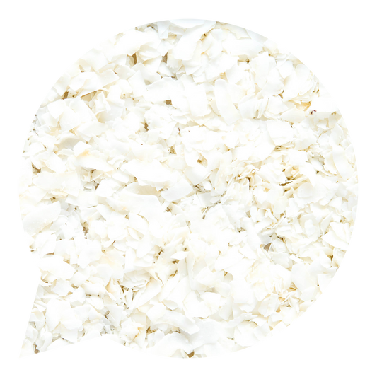 140002 Kokosové chipsy BIO-1