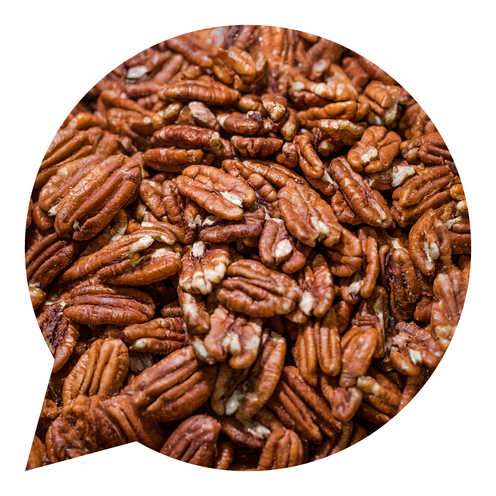 140023 Pekanové ořechy BIO   ( NA OBJEDNÁVKU )-1
