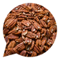 140023 Pekanové ořechy BIO   ( NA OBJEDNÁVKU )-1