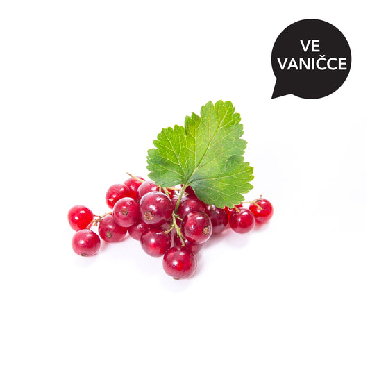 155202 Rybíz červený (vanička) 250 g BIO-1