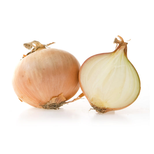 165046 Cibule bílá BIO (kg)-1