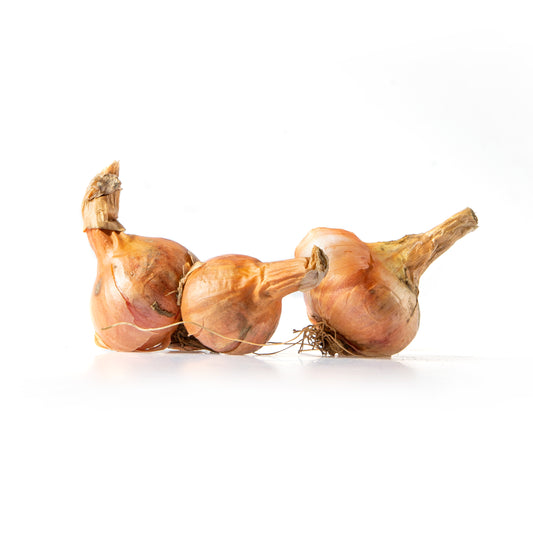 165047 Cibule šalotka BIO (kg) /CZ/-1
