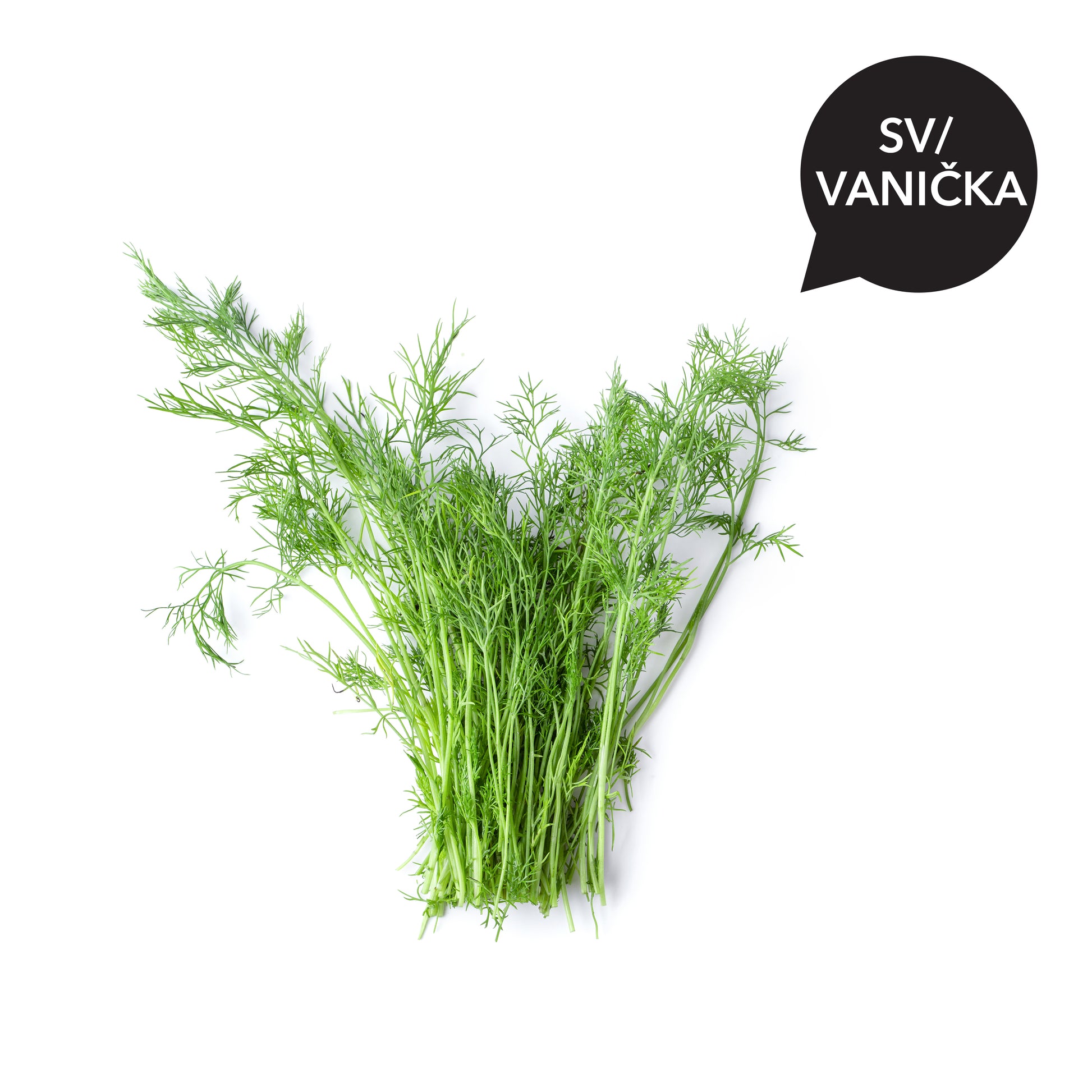 165070 Kopr BIO (sv/vanička) /DE/-1
