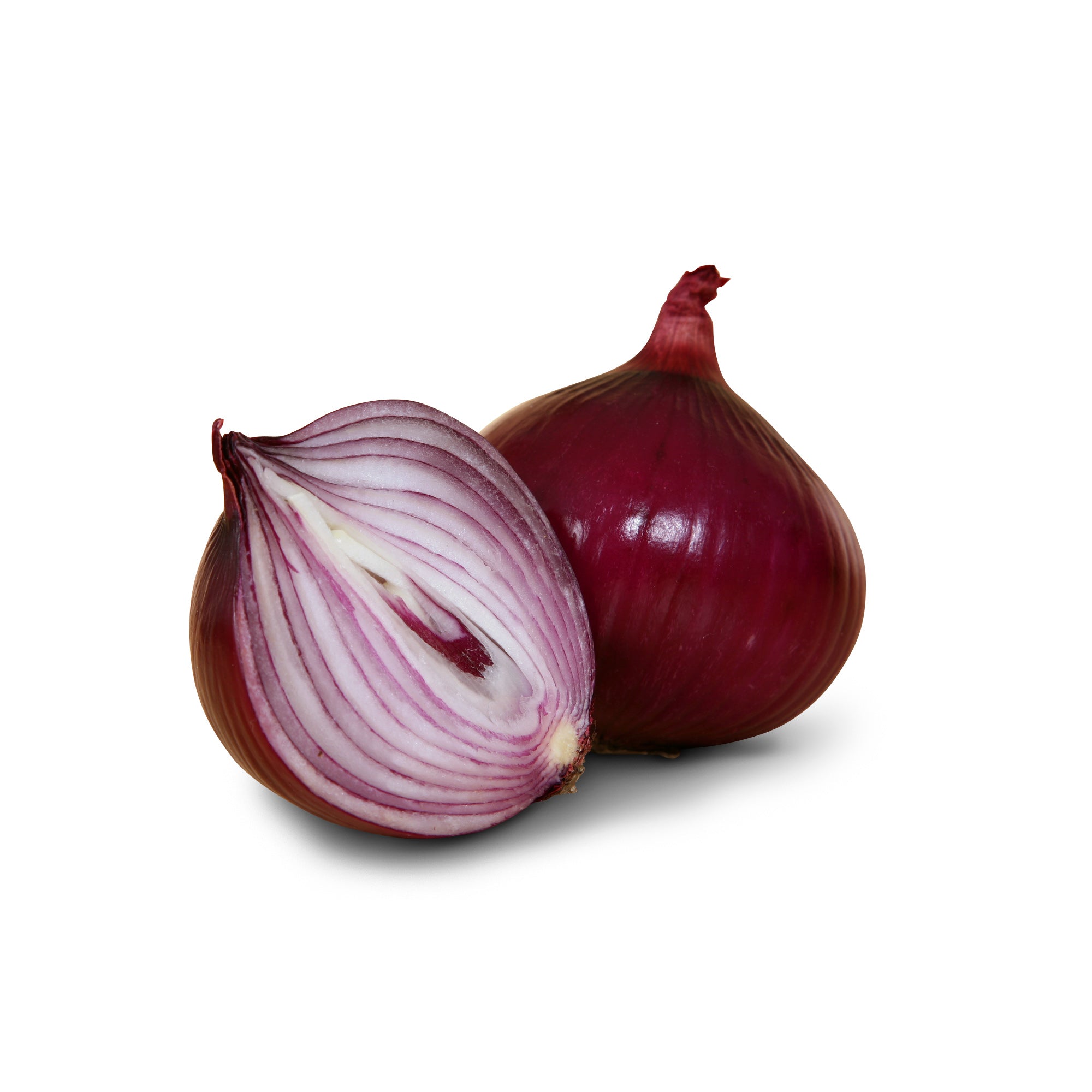 1_ac76d49a-be1d-43c8-b2b2-16ec8f79179a.jpg?v=1731617625