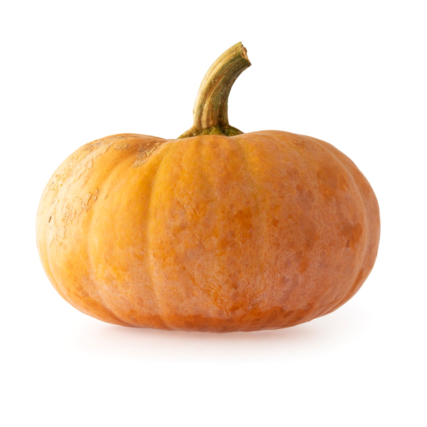 165391 Dýně "Muškátová" (ks) BIO /CZ/-1