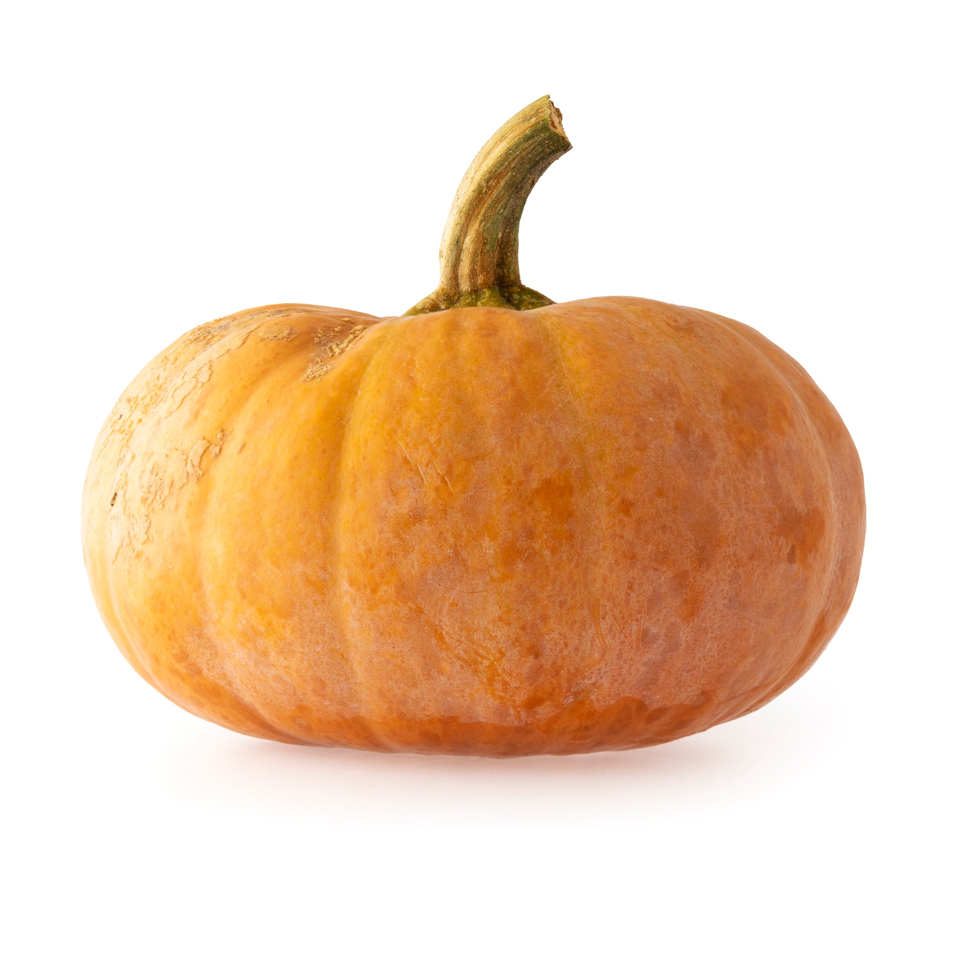 165391 Dýně "Muškátová" (ks) BIO /CZ/-1