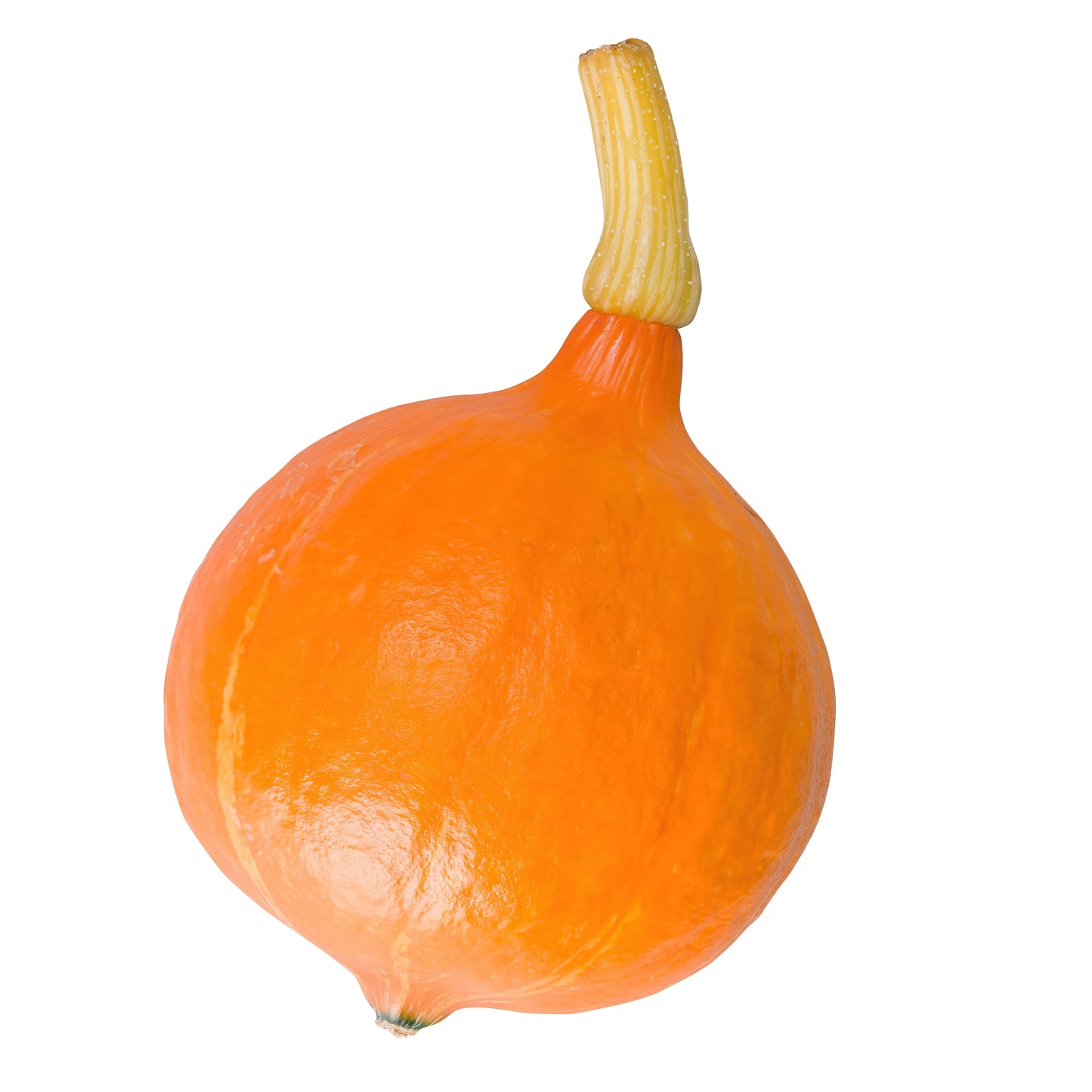 165388 Dýně „Hokkaido" BIO (kg) /CZ/Jak.II/-1