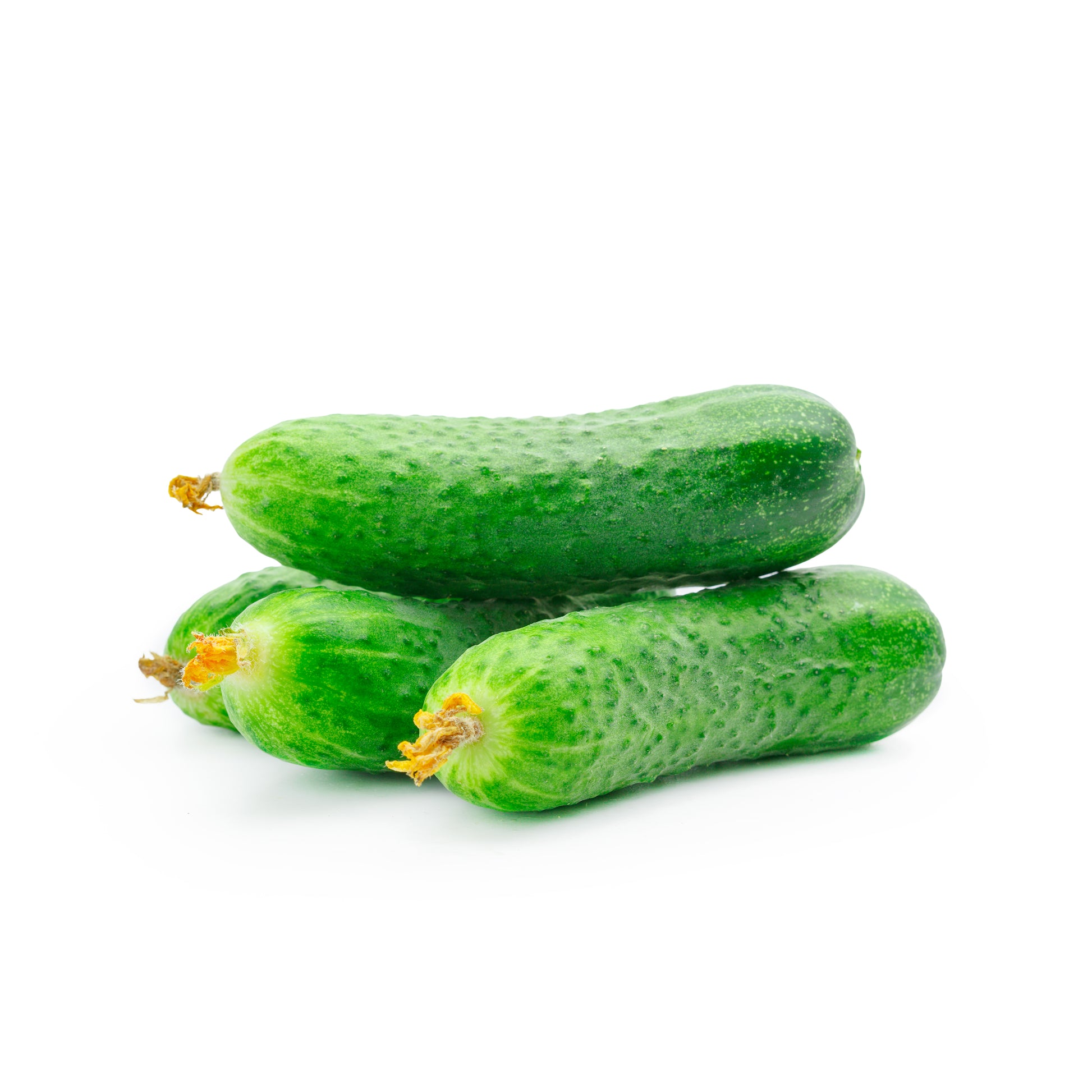 165360 Okurky nakládačky BIO /kg/-1