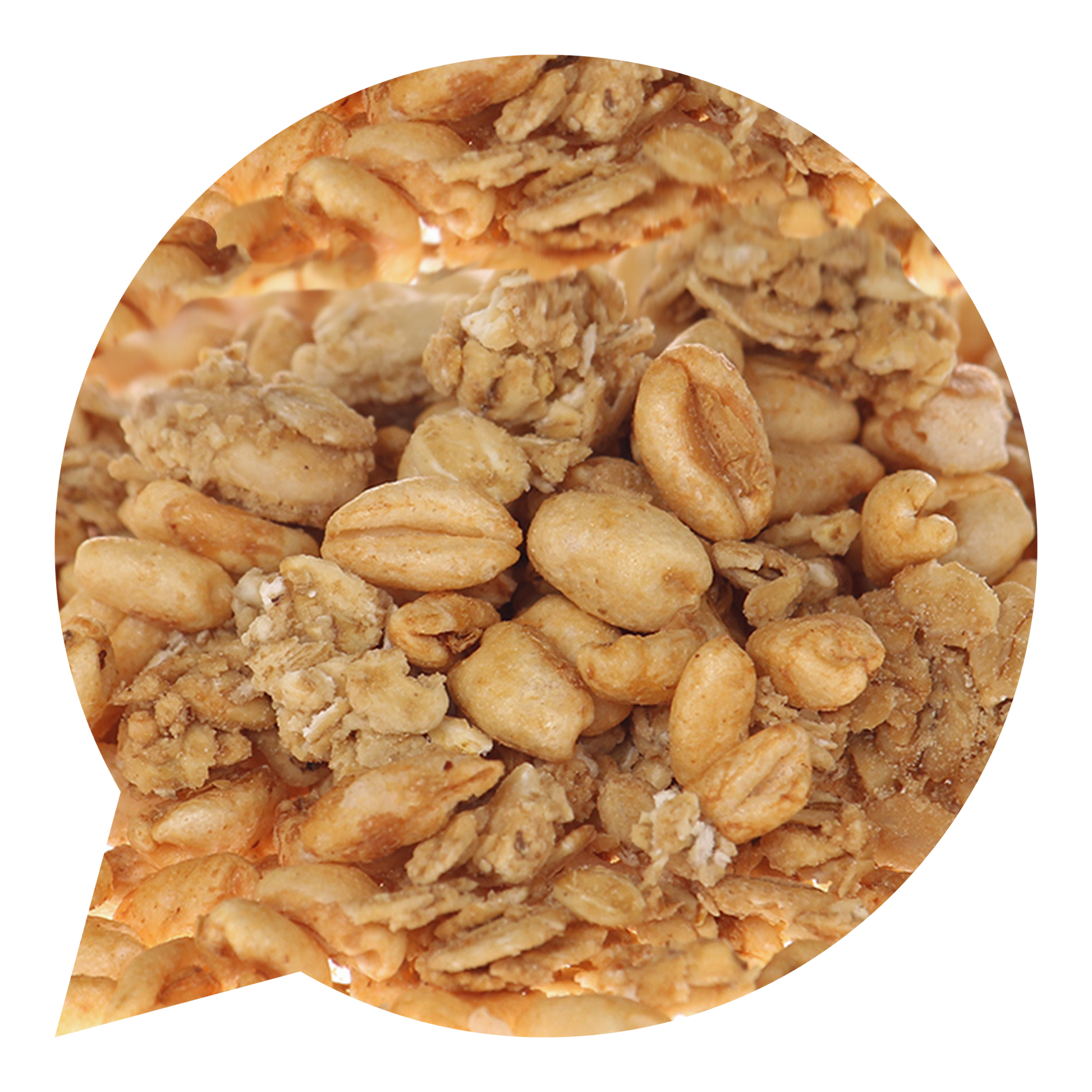230157 Müsli Nebuď hloupý! Křupavé s javorovým sirupem 3 kg BIO   BIO NEBIO-1