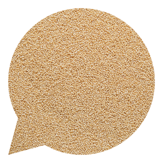 260017 Kuskus celozrnný BIO-1