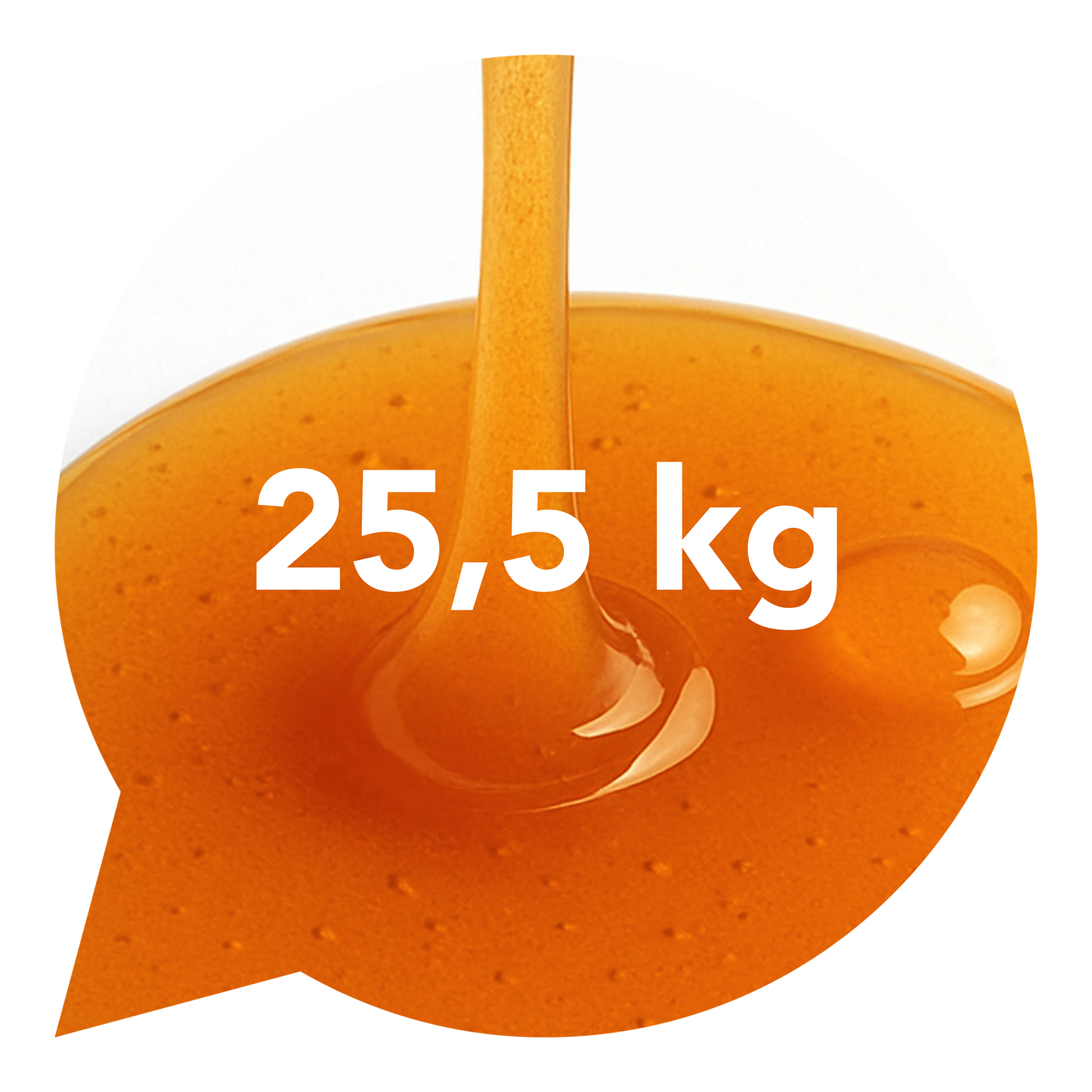 420047 Sirup agávový 25,5 kg BIO-1