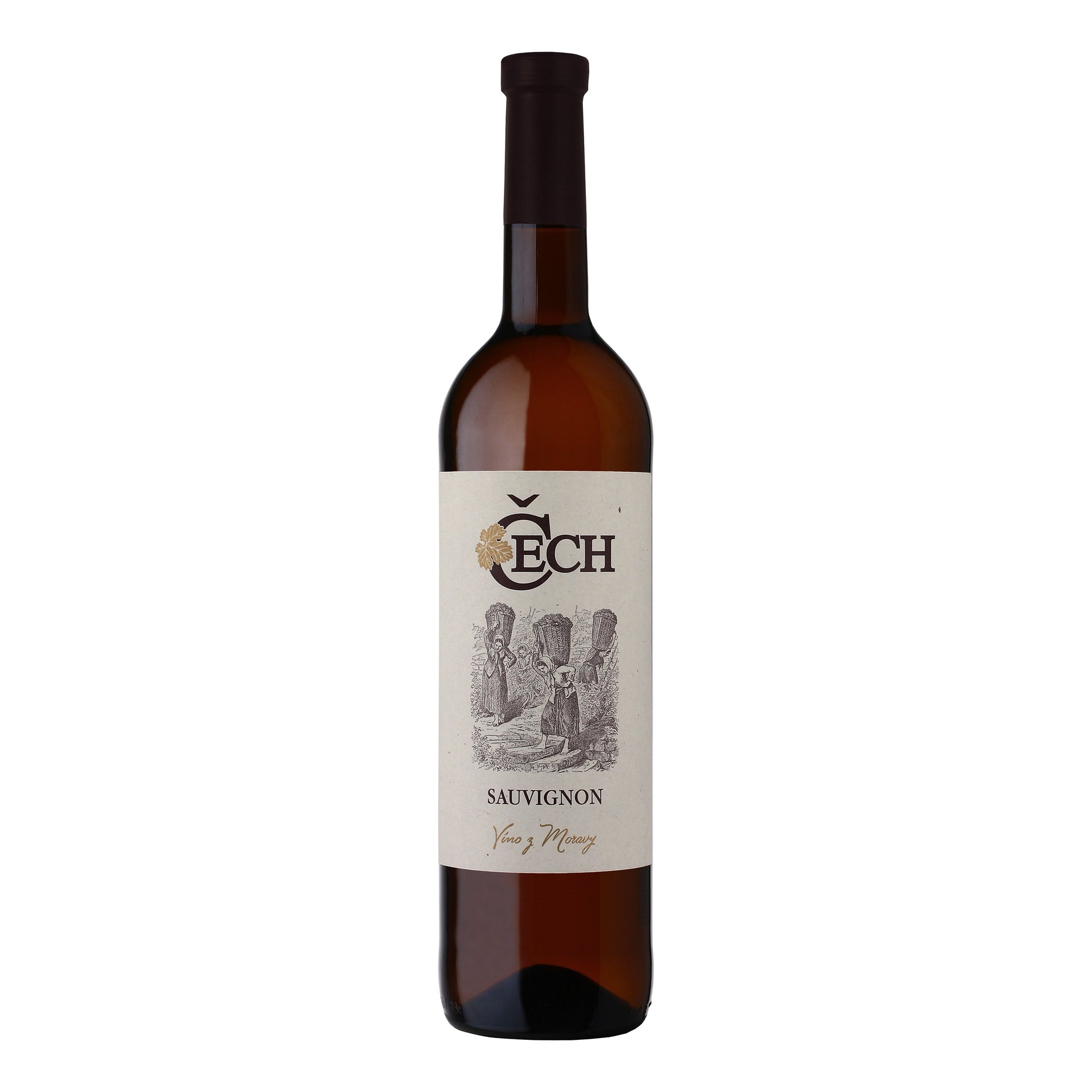 578111 Víno Sauvignon bílé 0,75 l BIO   VINAŘSTVÍ ČECH-1