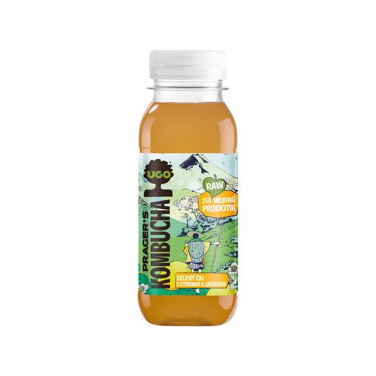 719053 Kombucha zelený čaj s citrónem a zázvorem 250 ml   UGO-1