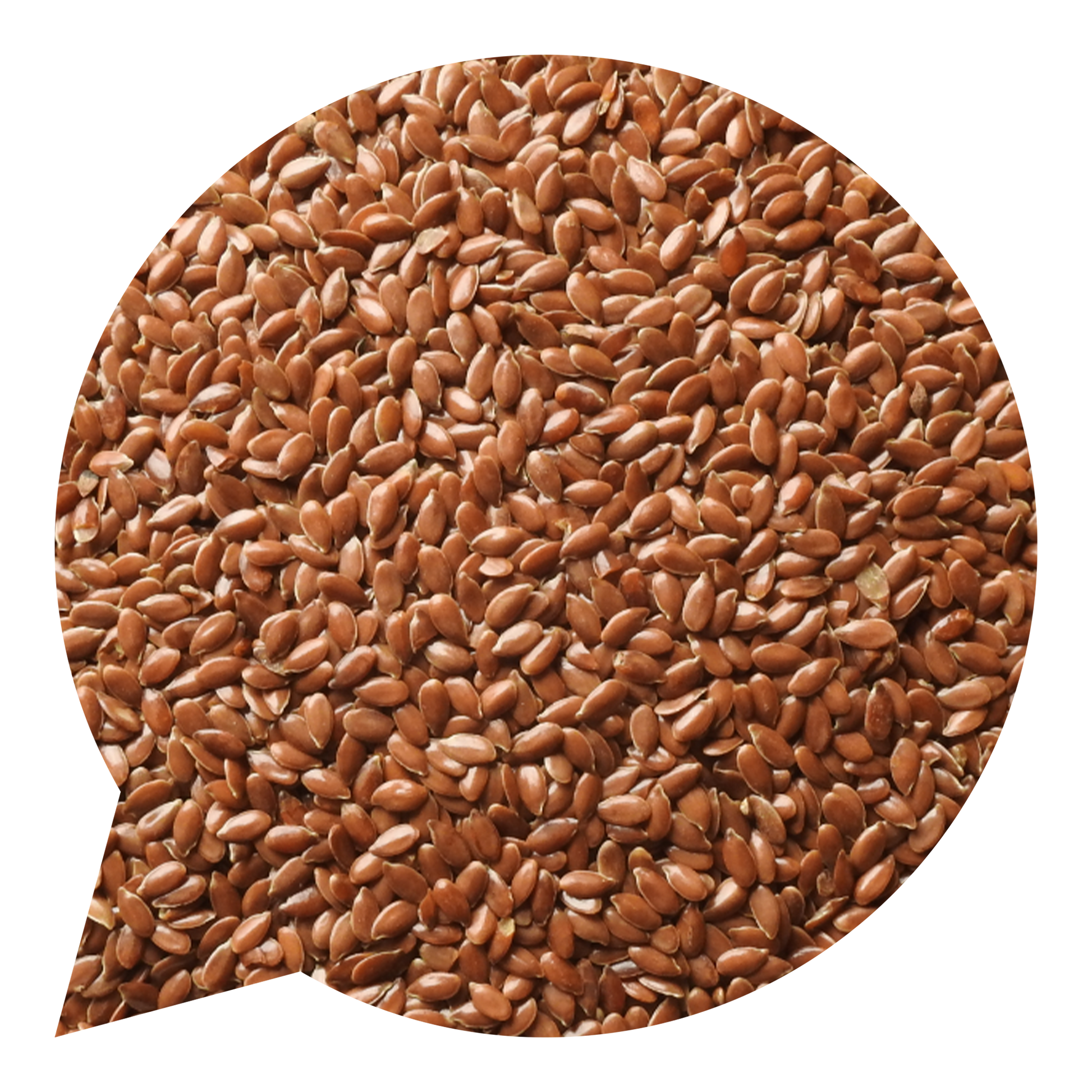 820016 Semínka lněná BIO-1