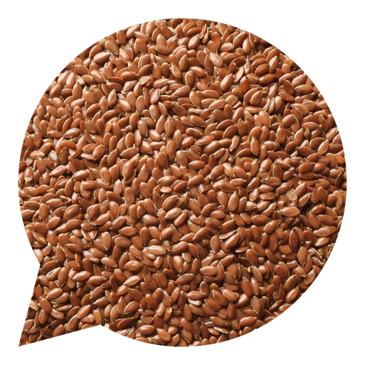 820016 Semínka lněná BIO-1