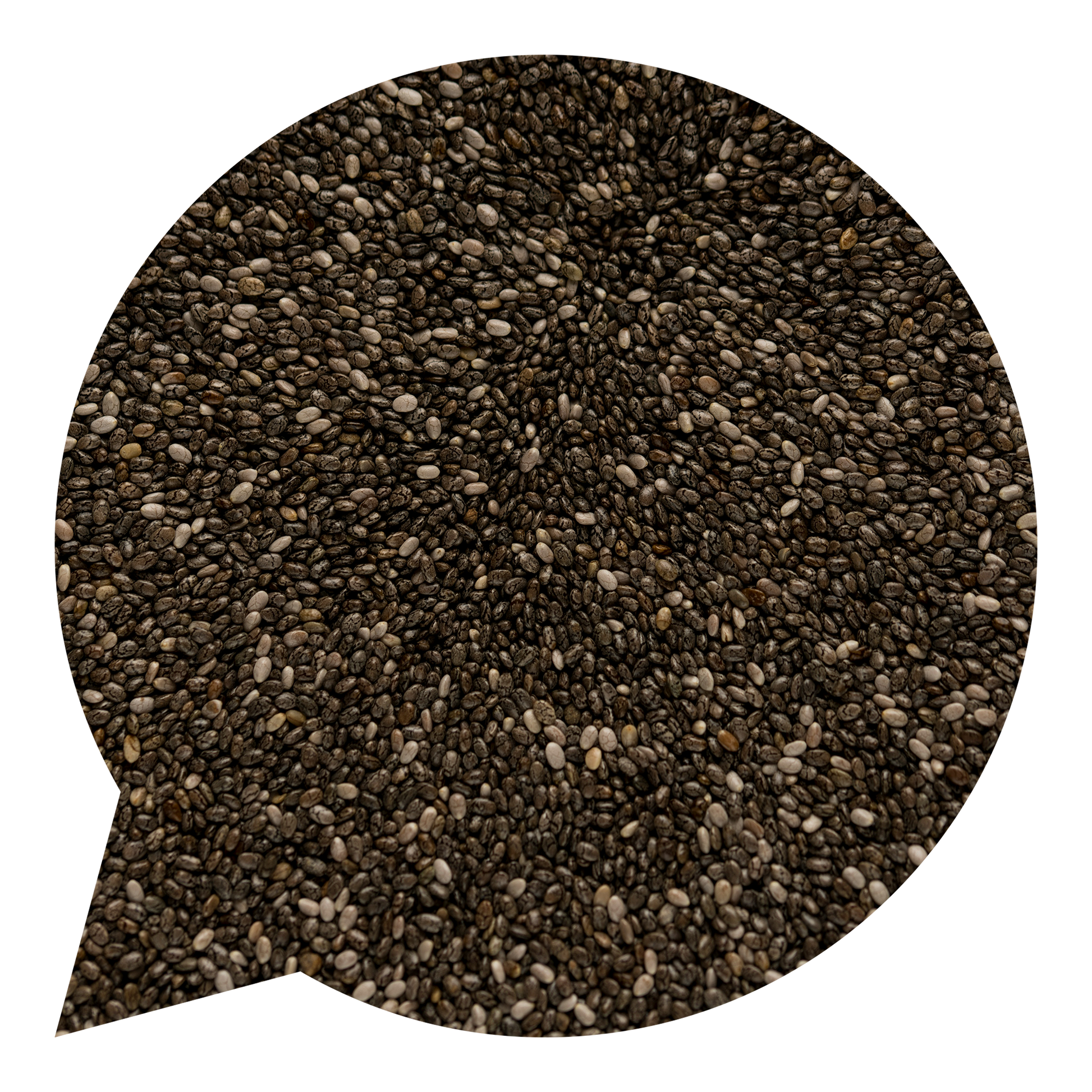 820021 Semínka chia BIO-1