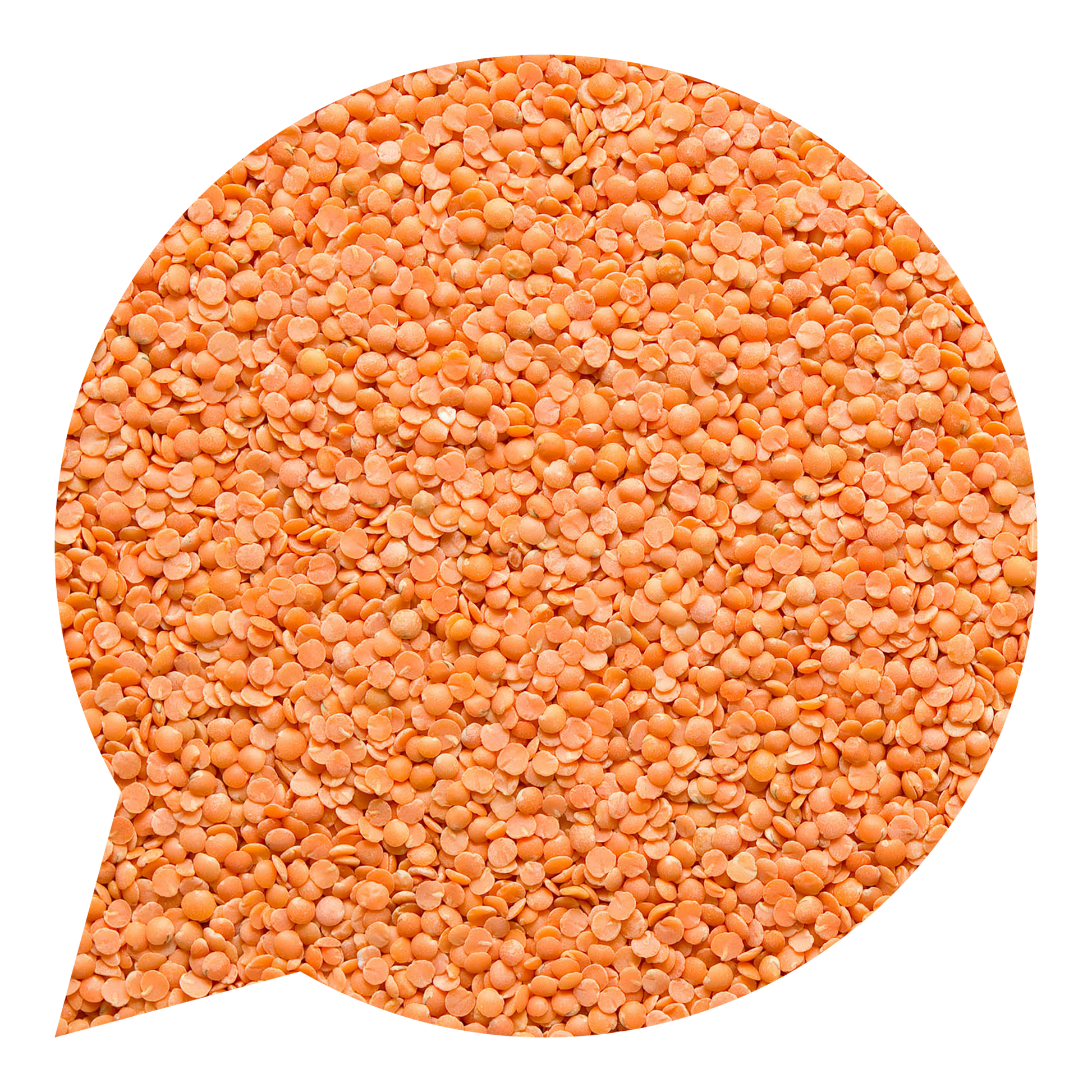 820024 Čočka červená půlená BIO-1