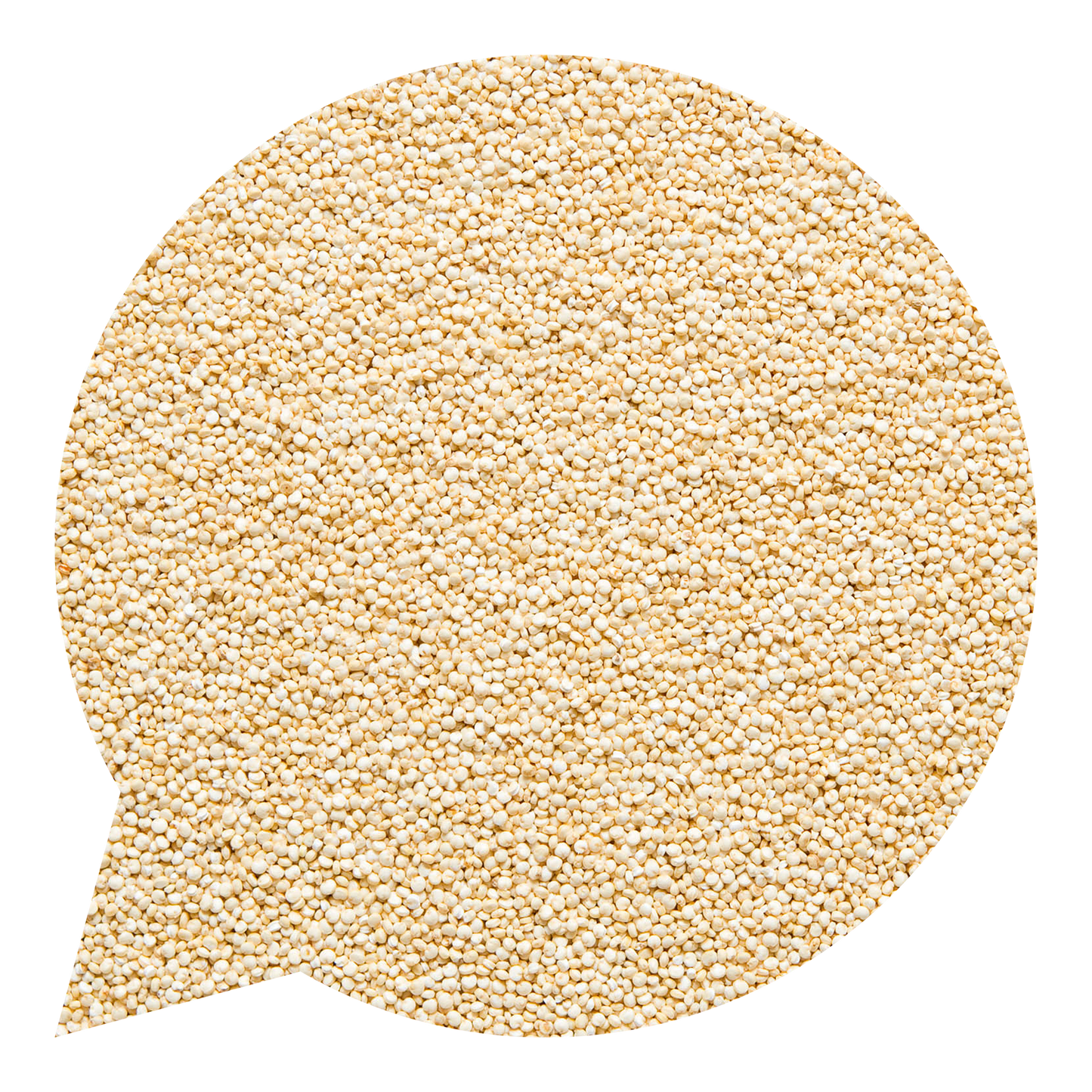 820070 Quinoa bílá BIO-1