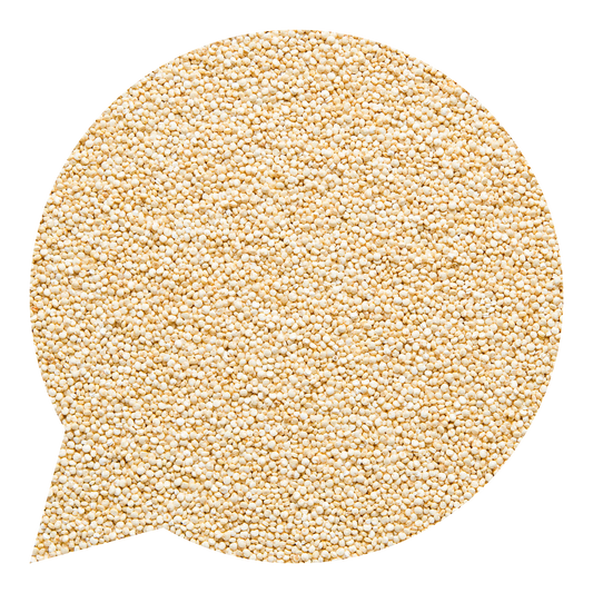 820070 Quinoa bílá BIO-1
