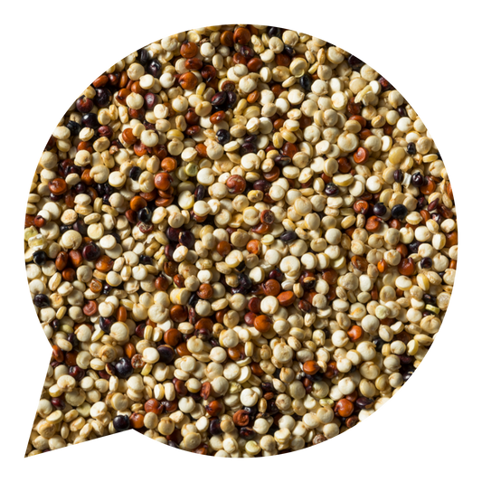 820071 Quinoa barevná BIO-1