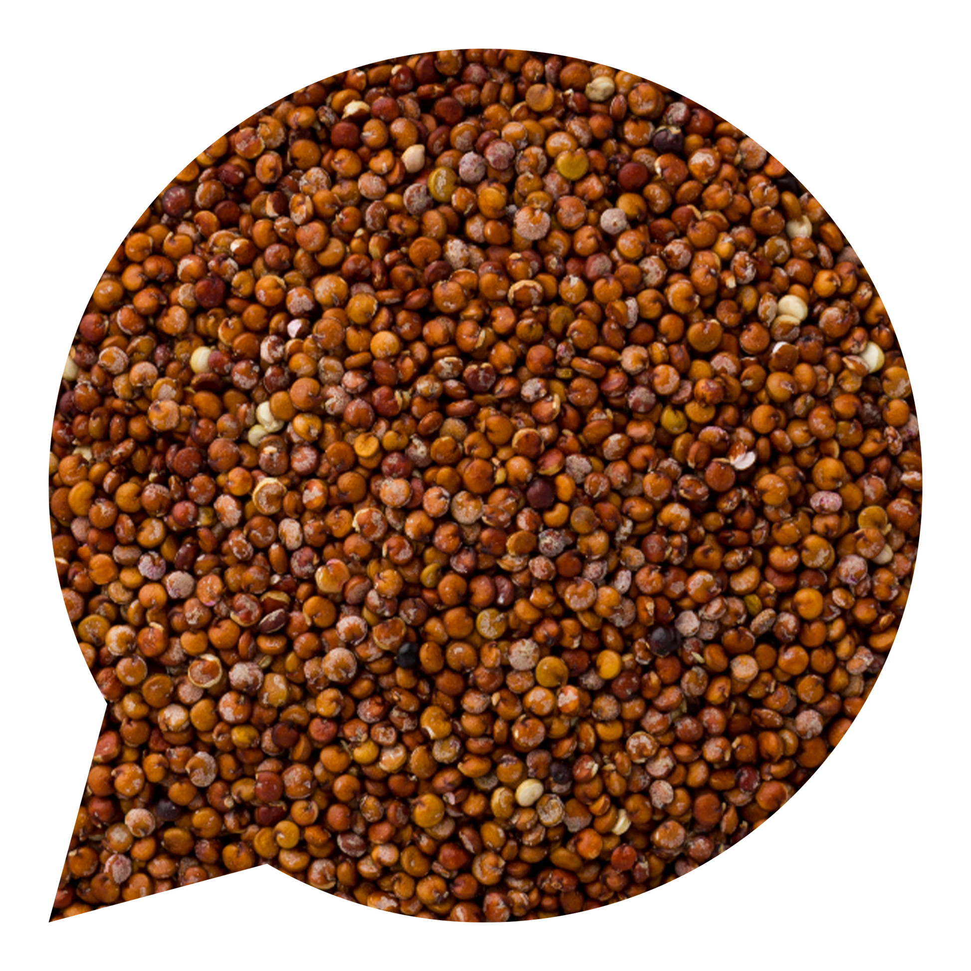 820163 Quinoa červená BIO-1