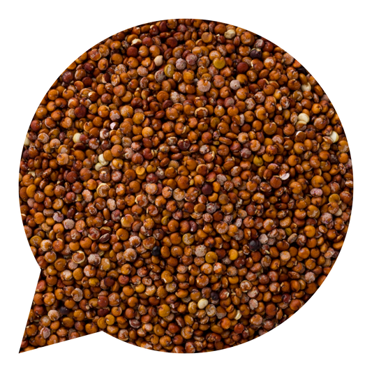 820163 Quinoa červená BIO-1