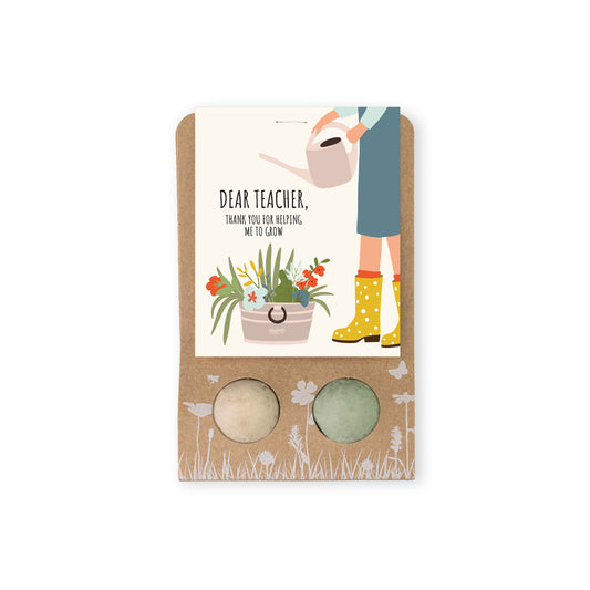 900129 Bomby semínkové - Drobný dáreček pro učitele - Květiny 2 ks   BLOSSOMBS-1