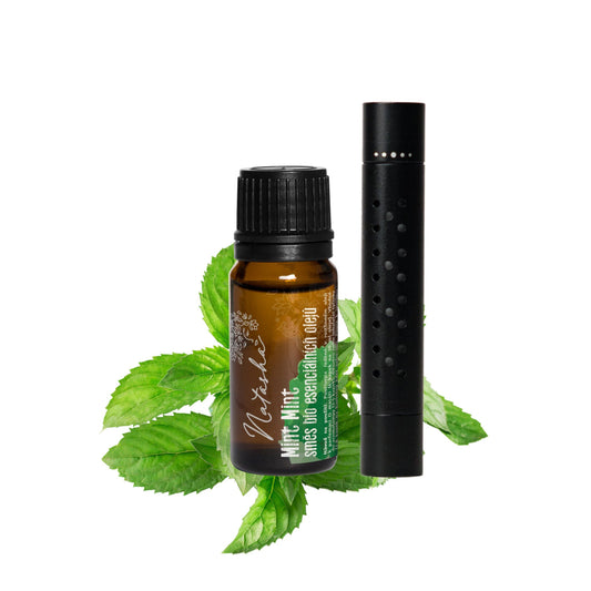 902022 Sada difuzér do auta + olej Mint Mint   NATASHA-1