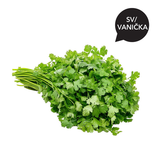 165296 Petržel hladkolistá BIO (sv/vanička)-1